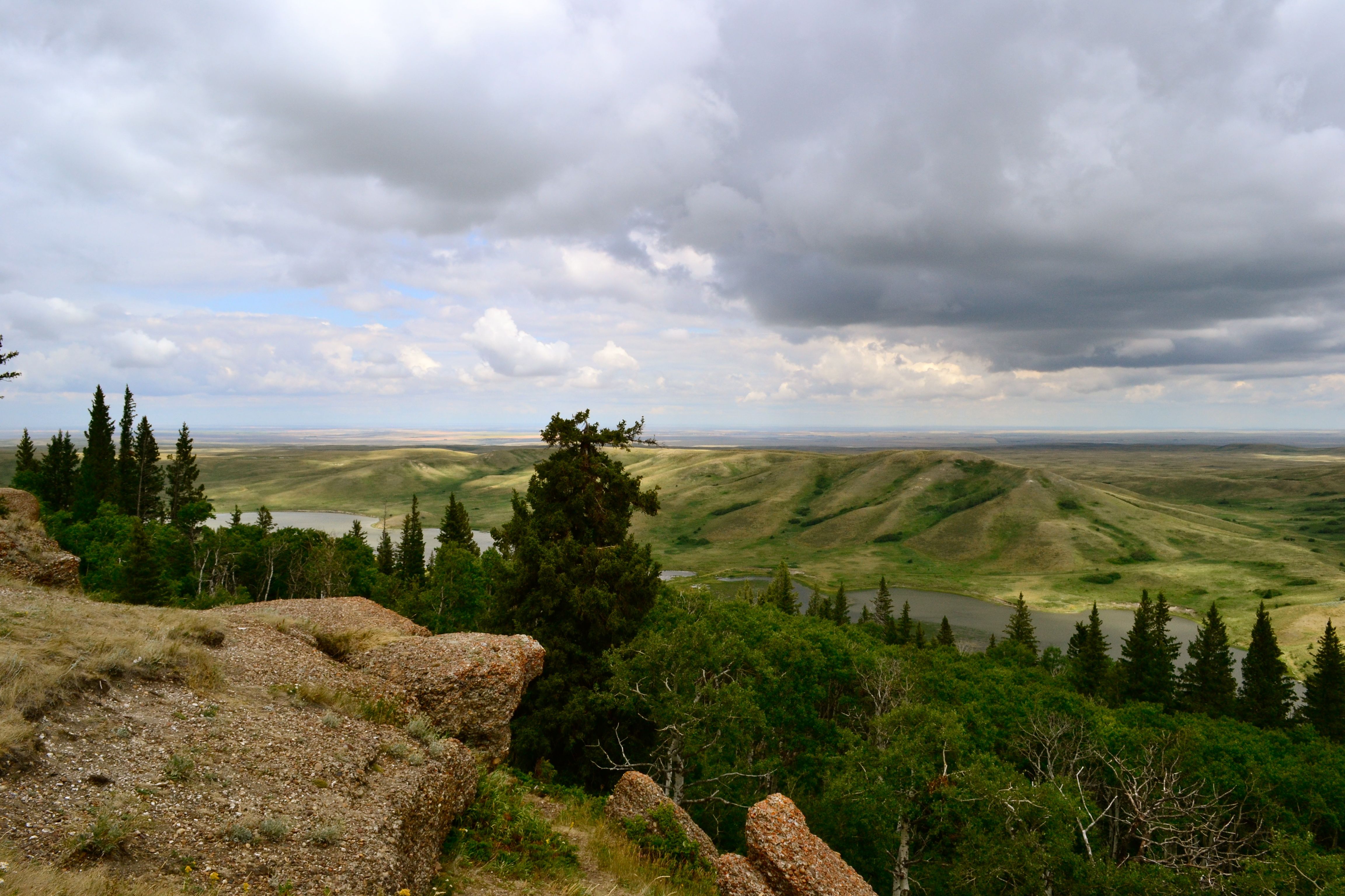 Cypress Hills Park